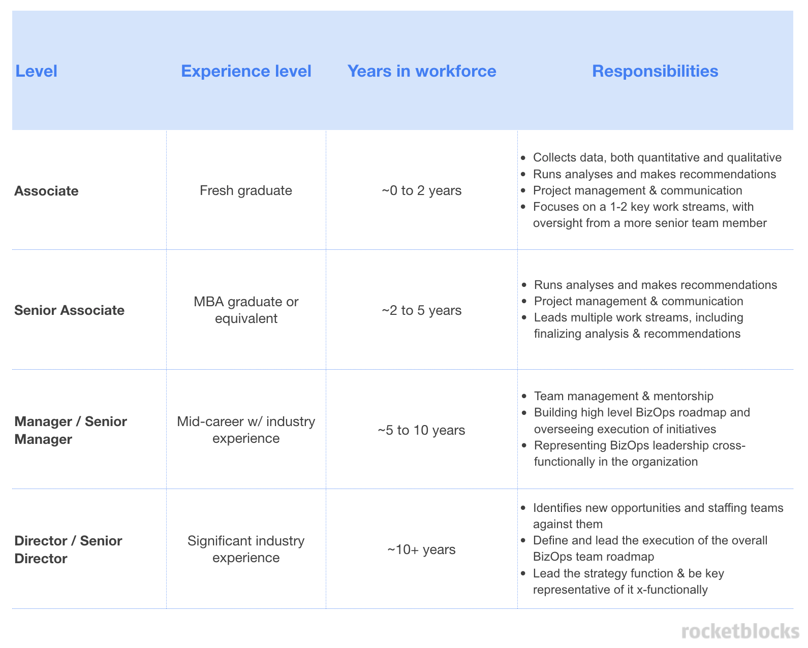 Strategy & biz ops career path and responsibilities