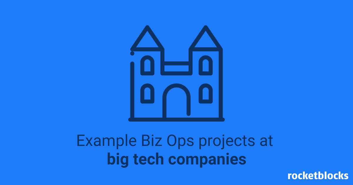 BizOps projects at big tech companies