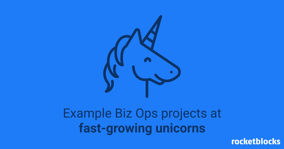 An example BizOps project at a unicorn startup