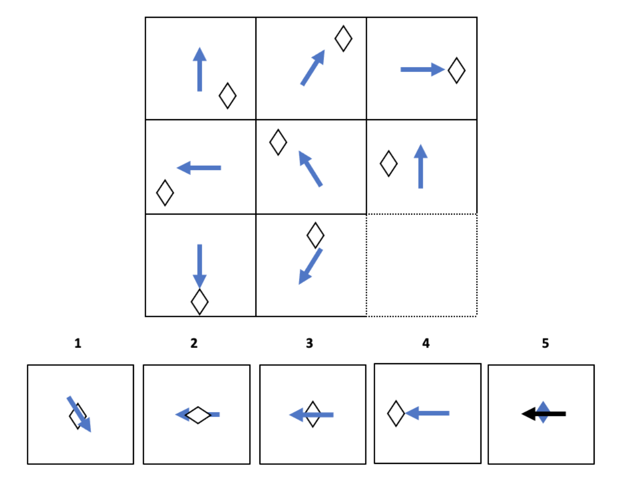 Abstract reasoning from the SOVA test